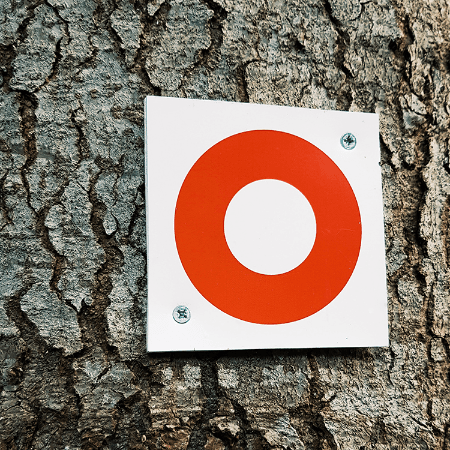 Target Audiensi Anda